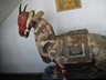 Jaffna Wooden animals (19)